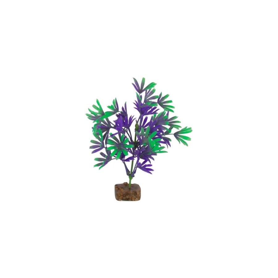 GLOFISH PLANT PURPLE/GREEN MD