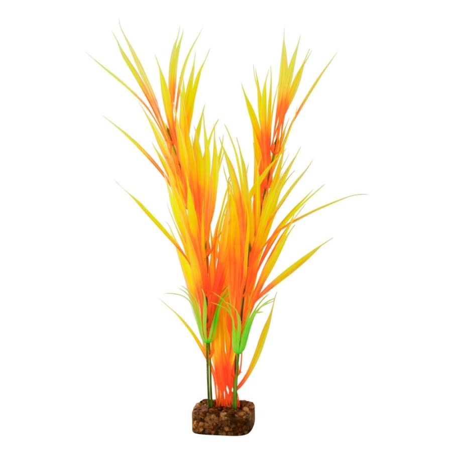GLOFISH PLANT ORANGE/YELLOW LG