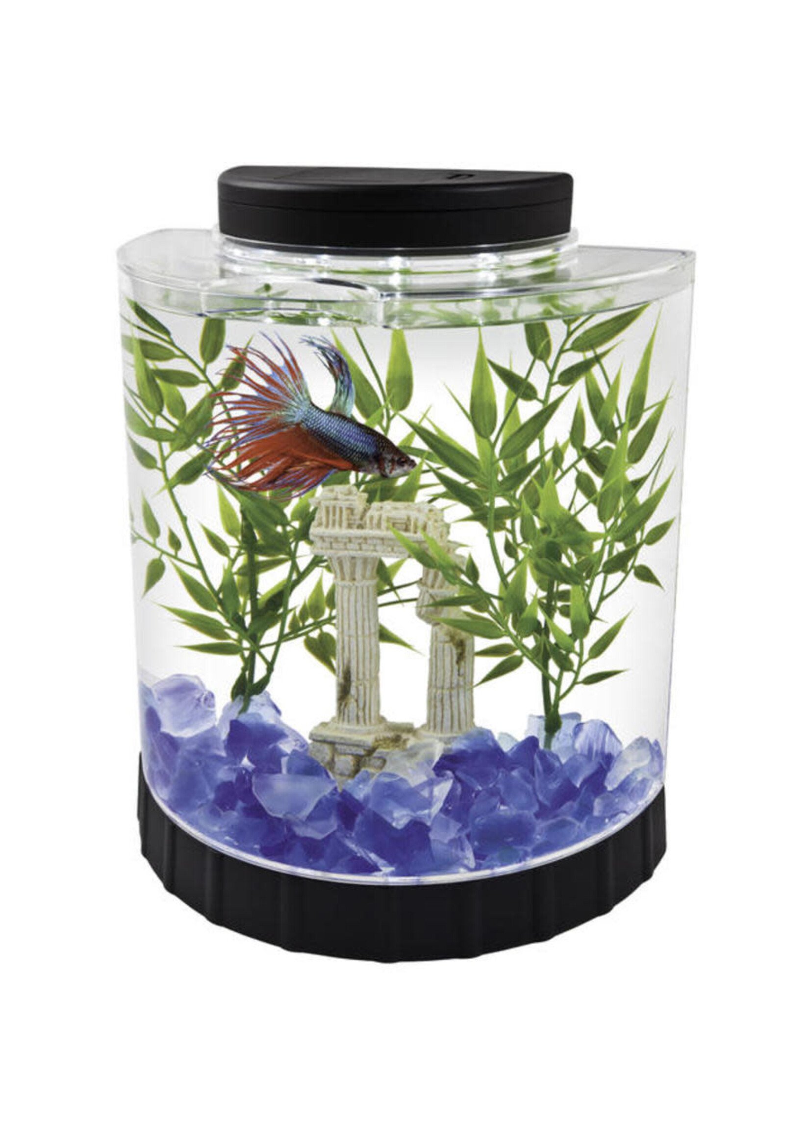 Tetra BETTA KIT LED HALF MOON 1 GAL