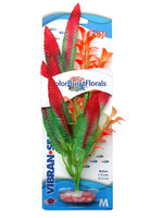 Blue Ribbon PLANT CRISPUS RED MD