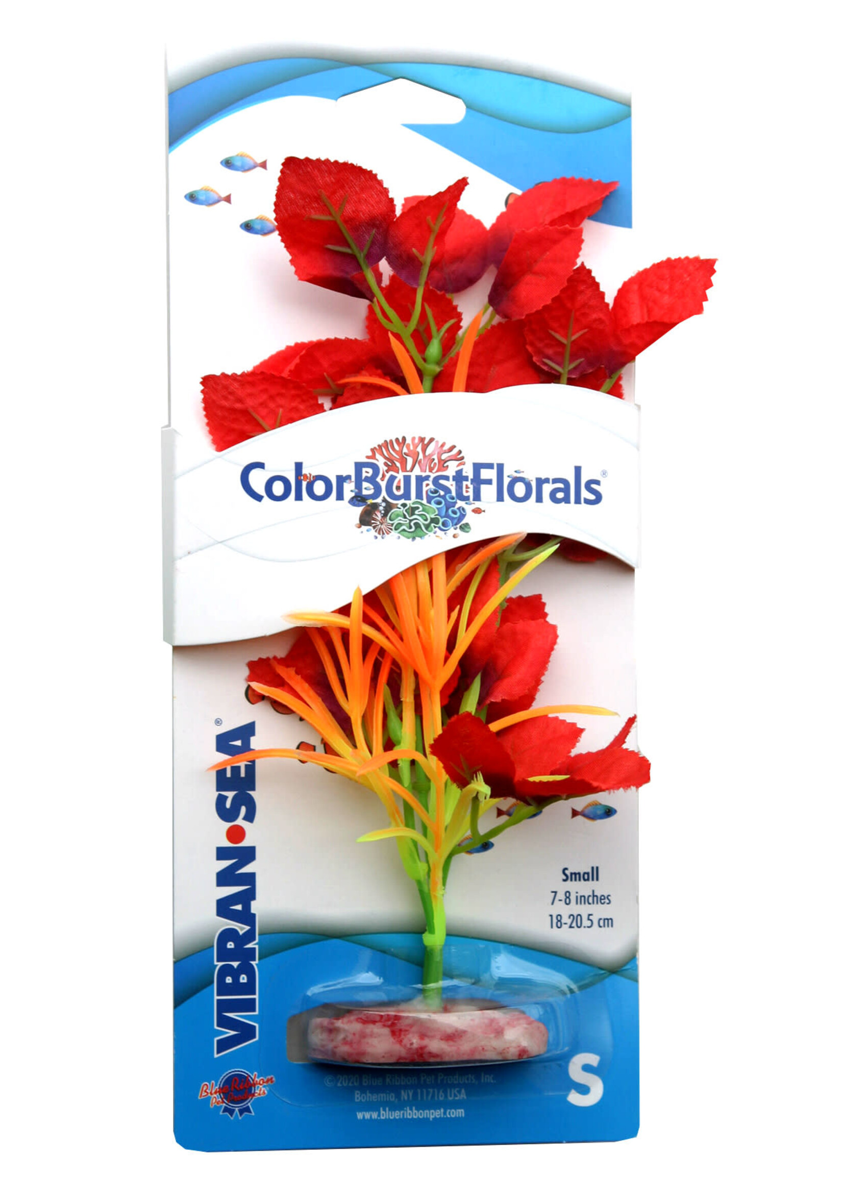 Blue Ribbon PLANT WILLOW LEAF RED SM