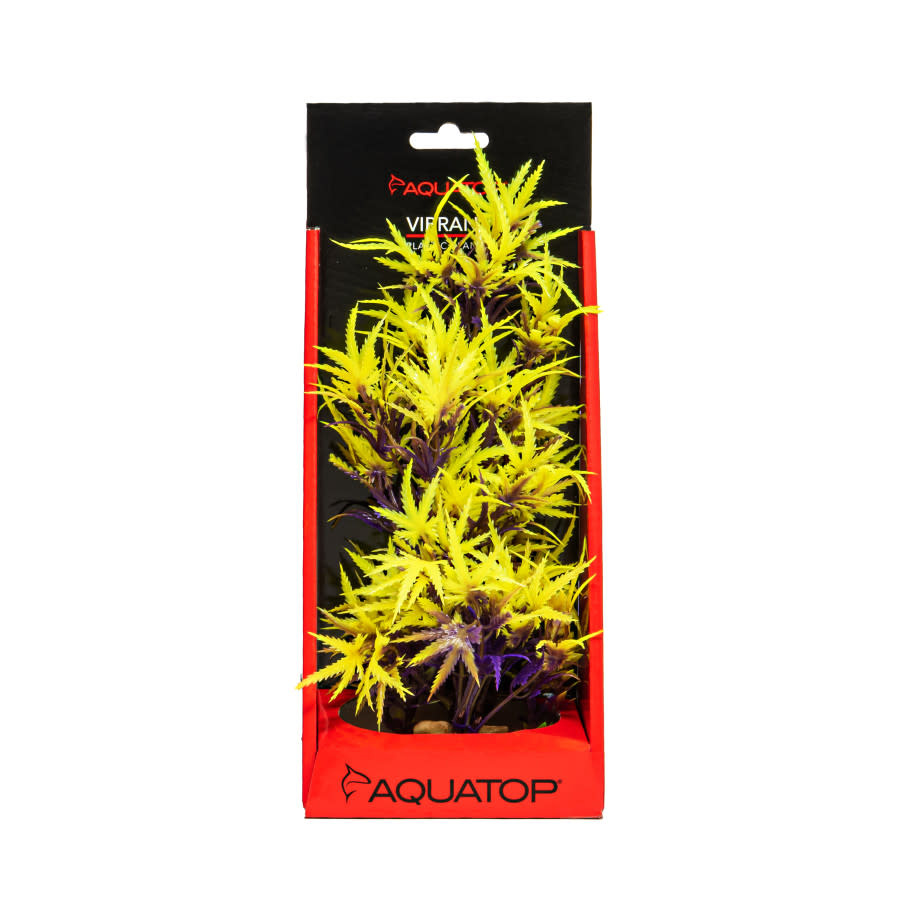 VIBRANT FLUORESCENT CANNABIS OLIVE PLANT 10"