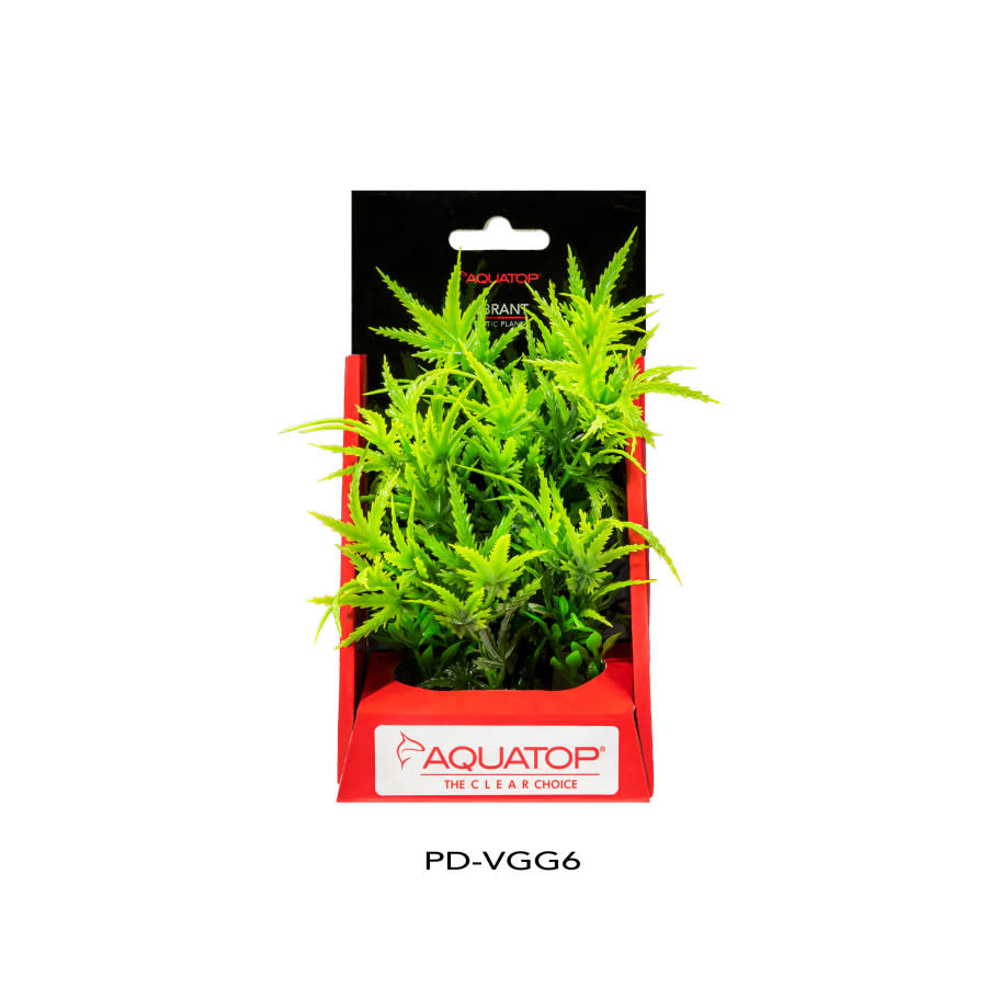 VIBRANT GARDEN GREEN 6"