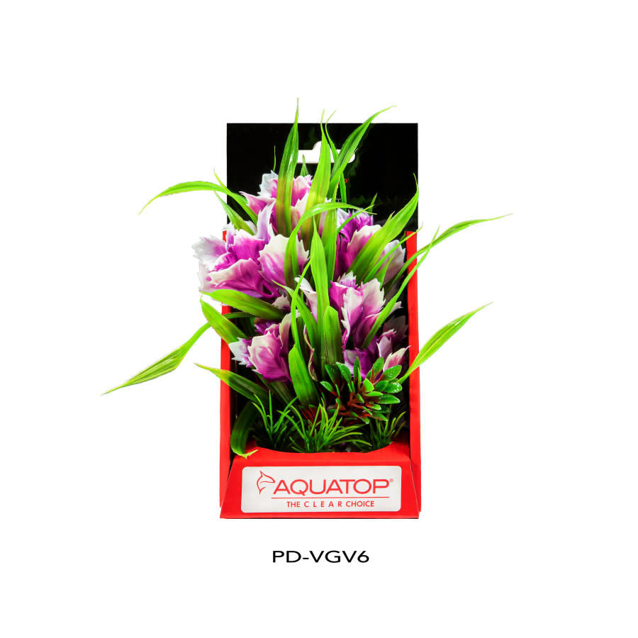 VIBRANT GARDEN VIOLET 6"