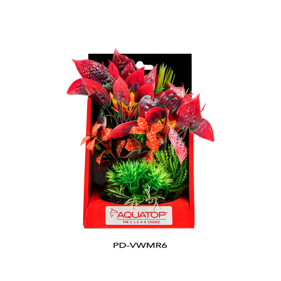 VIBRANT WILD PLANT MIXED RED 6"