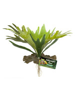 Zoo Med PLANT STAGHORN FERN