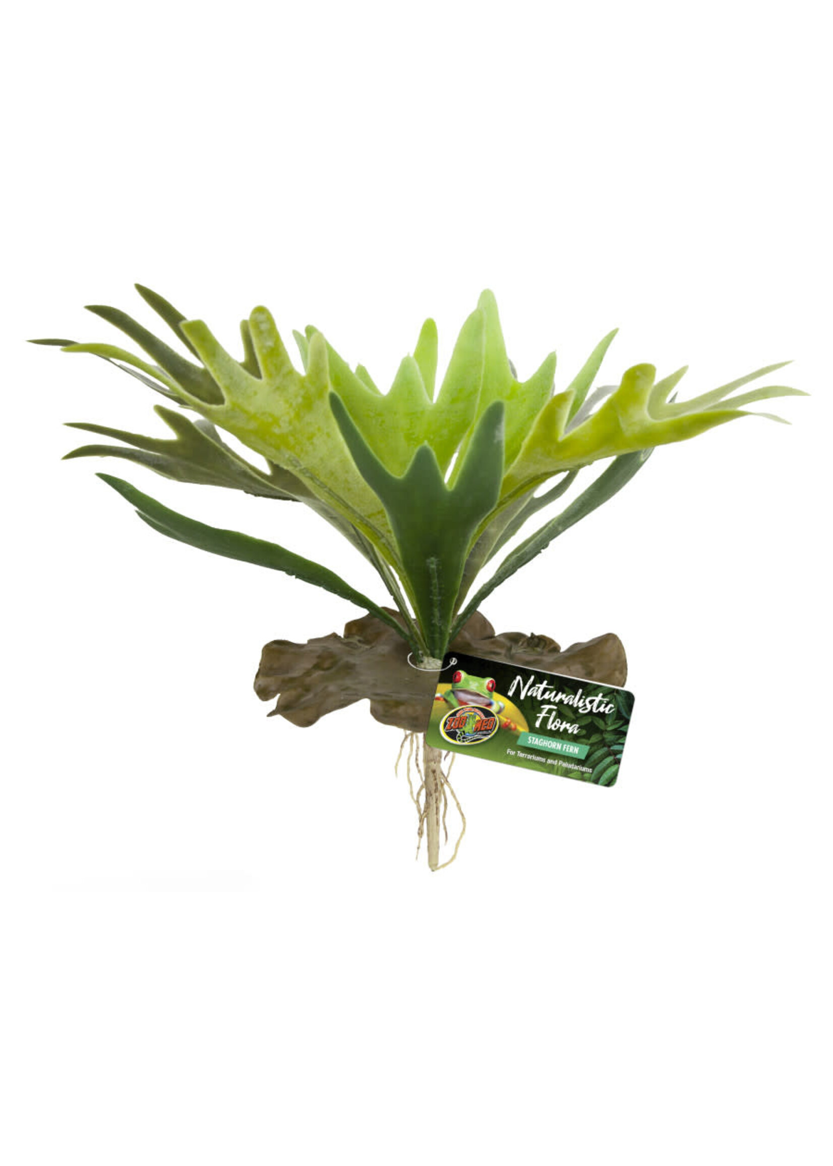 Zoo Med PLANT STAGHORN FERN