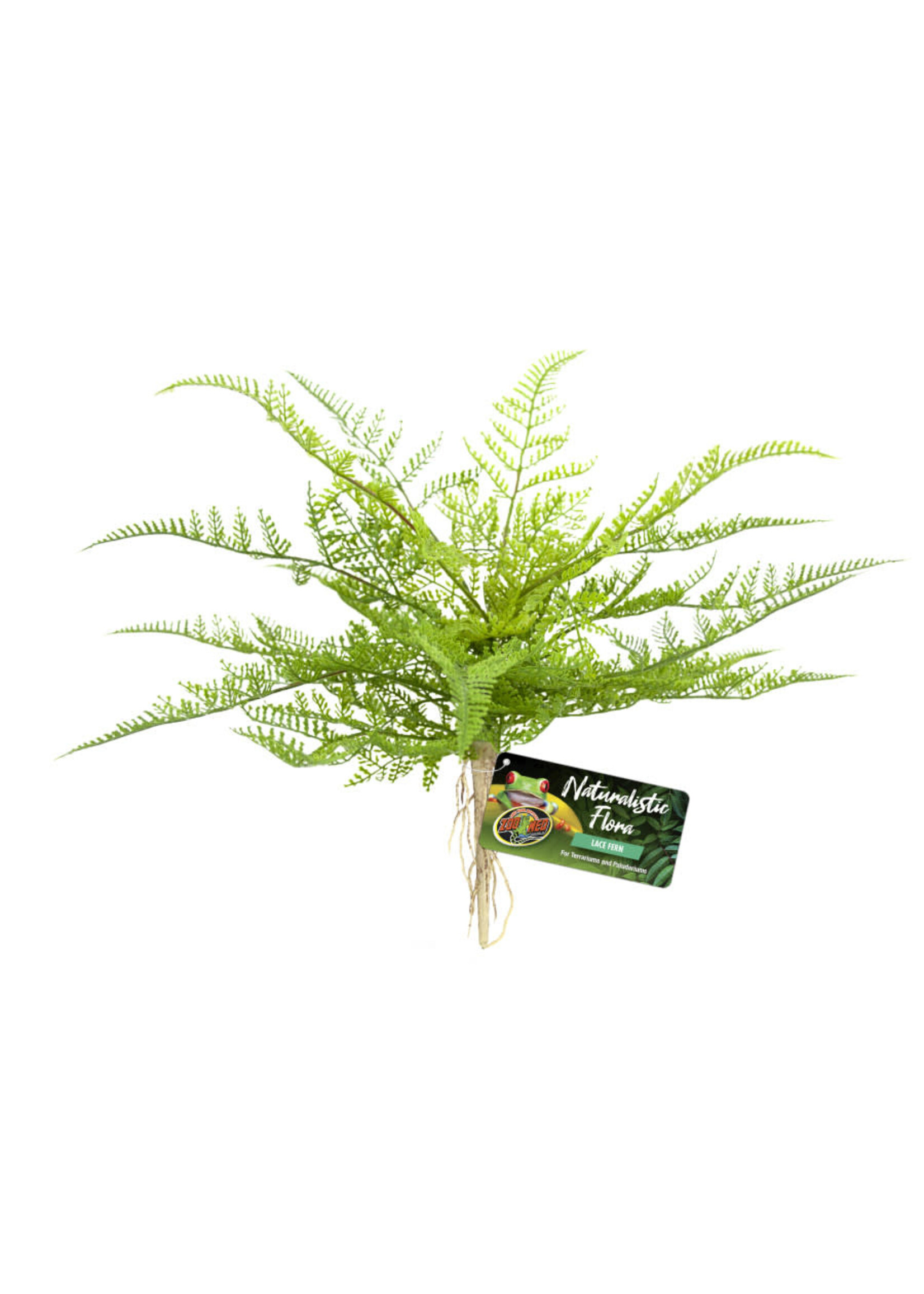 Zoo Med PLANT LACE FERN