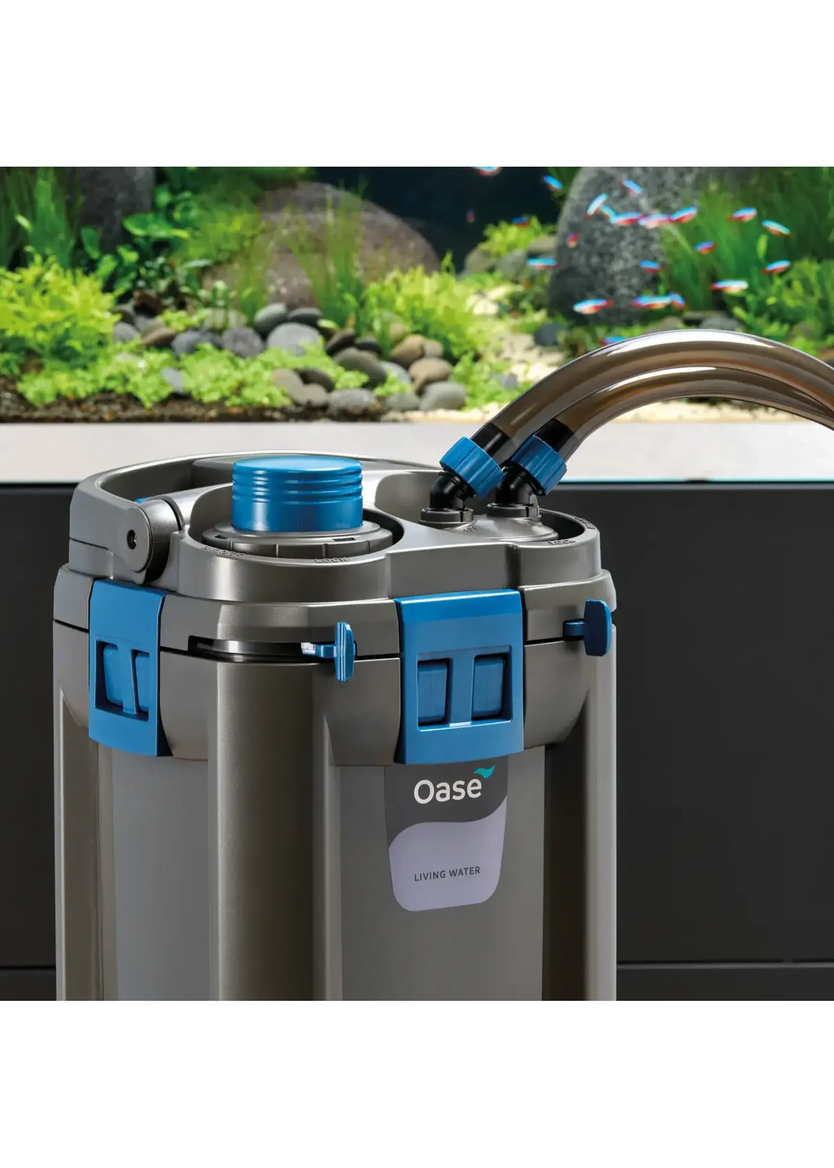 OASE BIOMASTER CANISTER 350