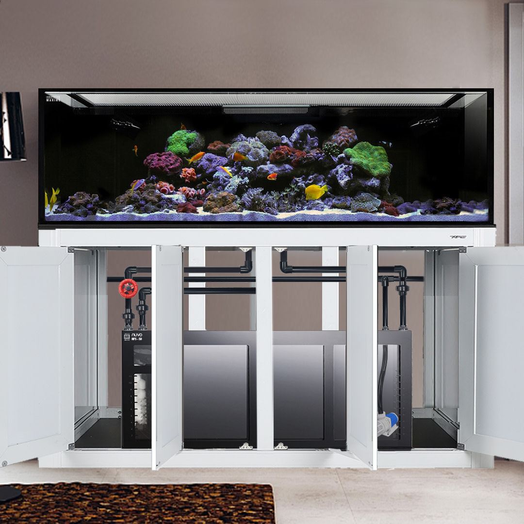 EXT 240 AQUARIUM COMPLETE REEF SYSTEM WHITE (MADE TO ORDER)