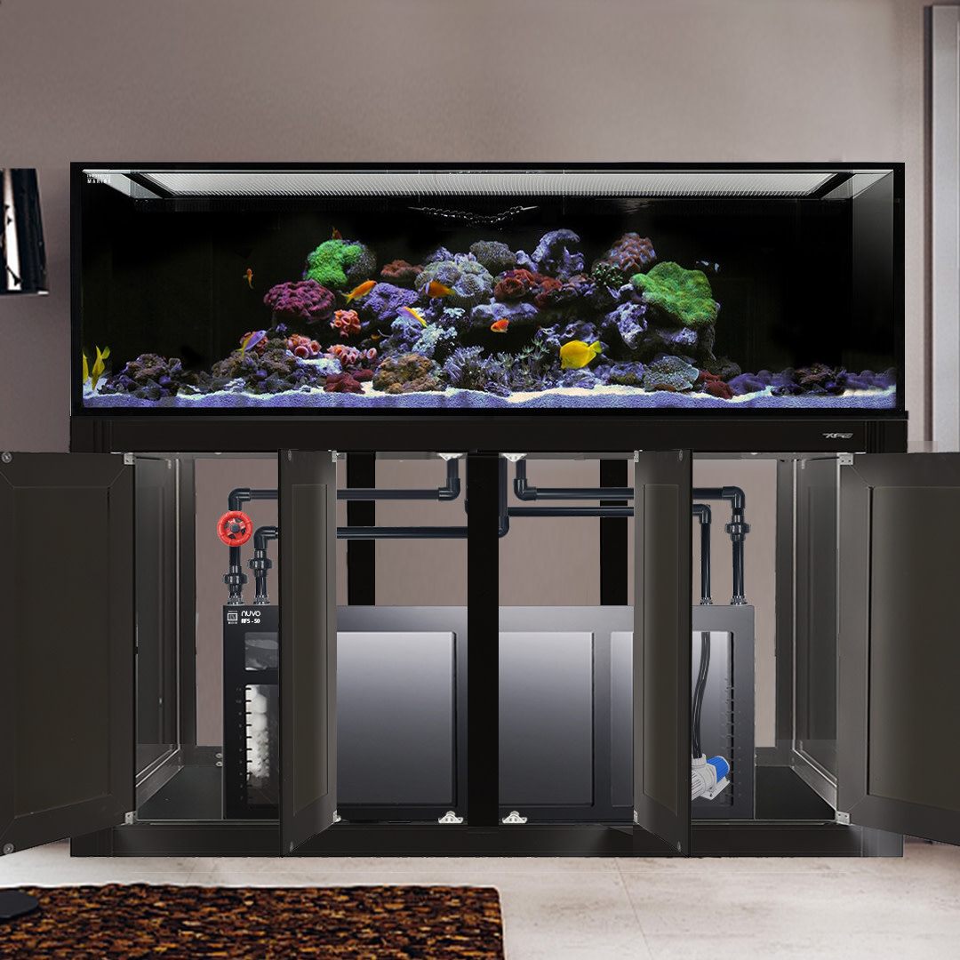 INT 240 AQUARIUM COMPLETE REEF SYSTEM BLACK (MADE TO ORDER)