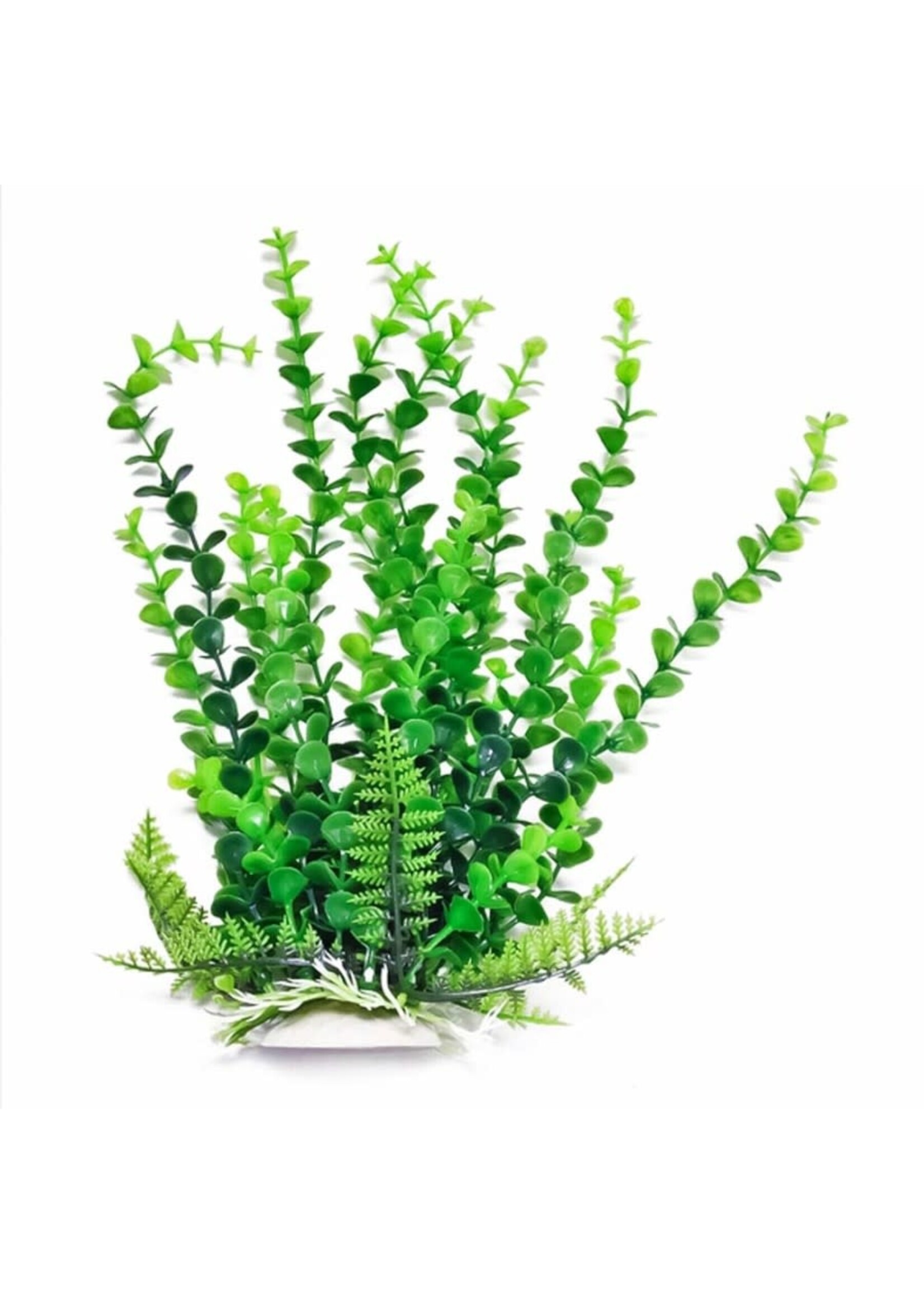Aquatop PLANT BACOPA GREEN 6 IN