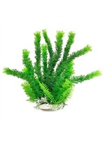 Aquatop PLANT CABOMBA GREEN 6 IN