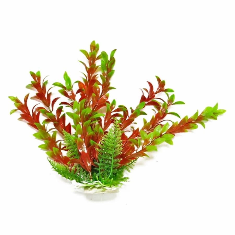 PLANT HYGRO GREEN/RED 12 IN