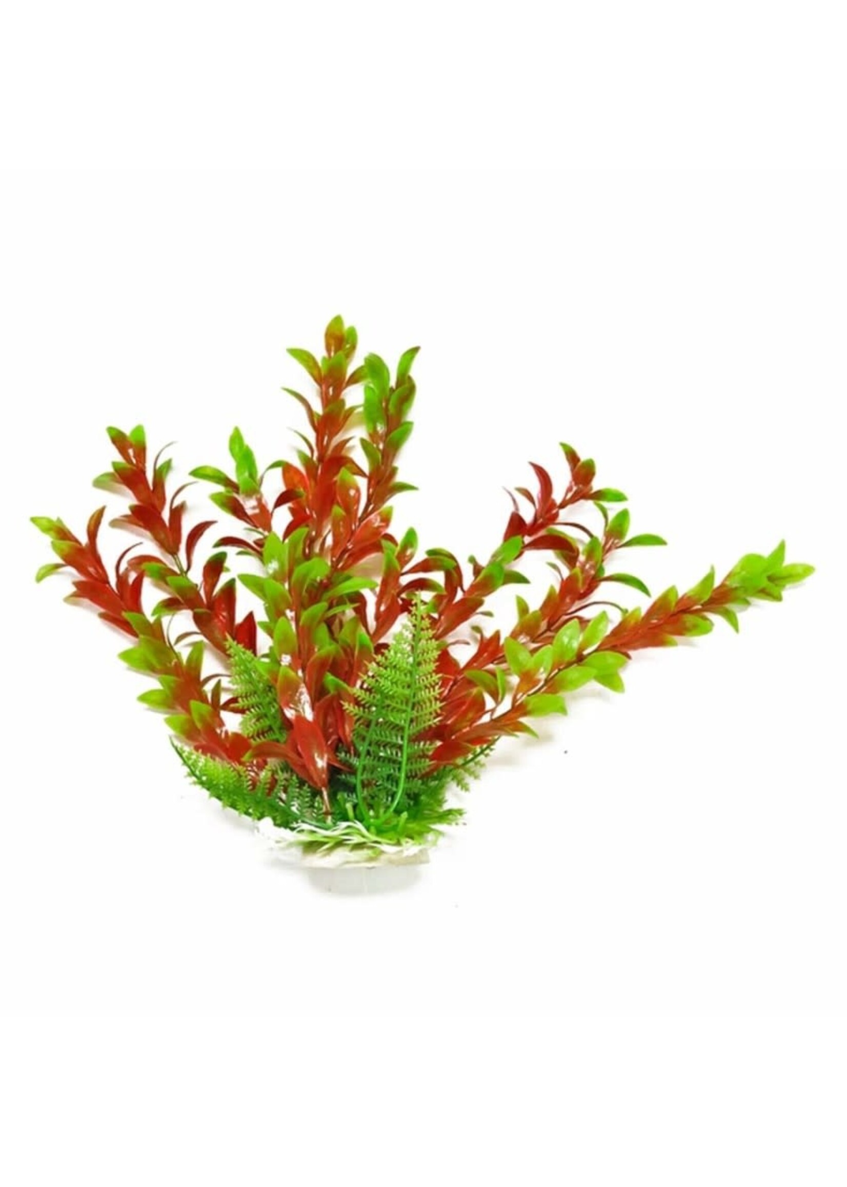 Aquatop PLANT HYGRO GREEN/RED 12 IN