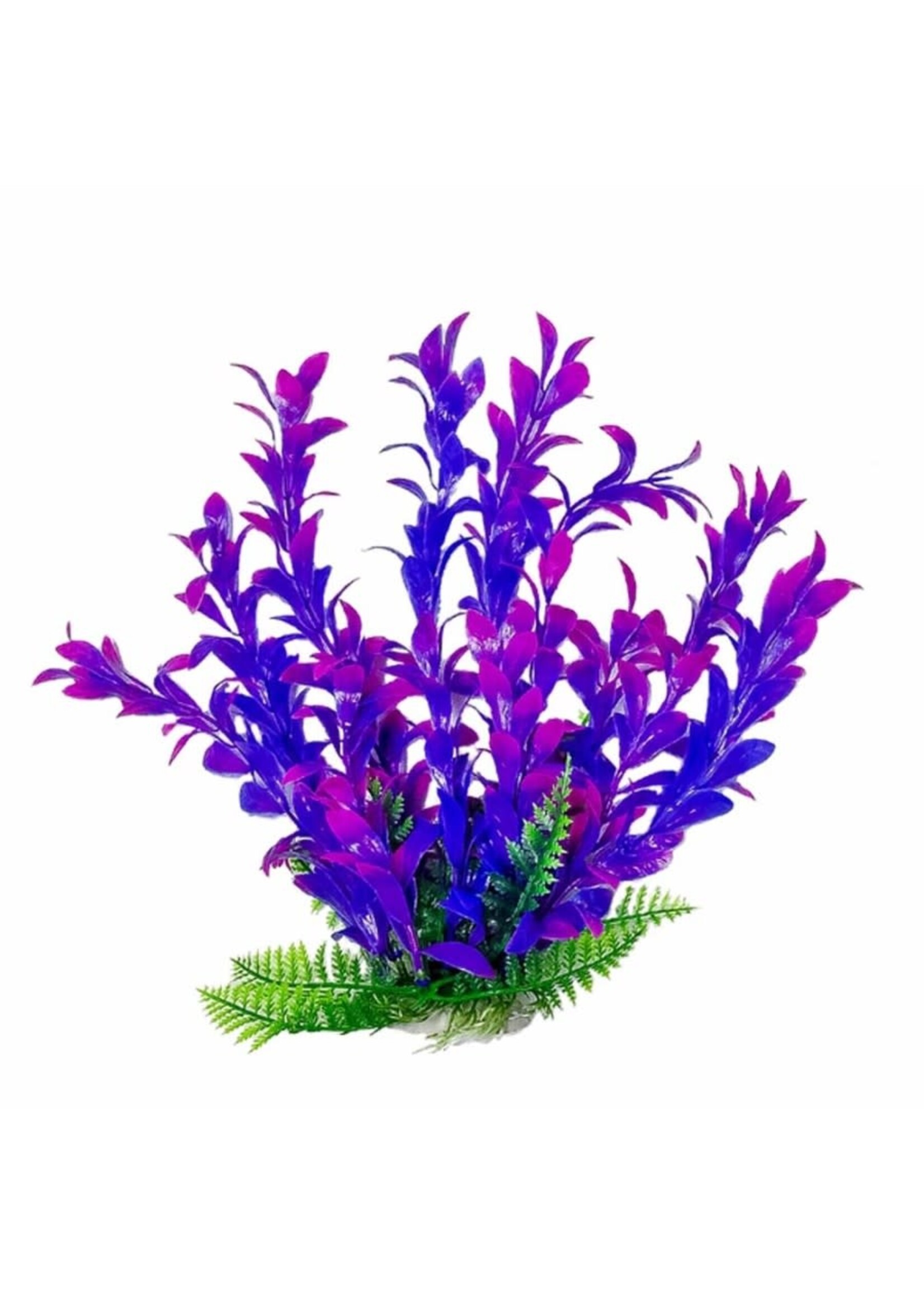 Aquatop PLANT HYGRO PINK/PURPLE 16 IN