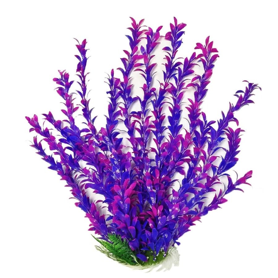PLANT HYGRO PINK/PURPLE 20 IN