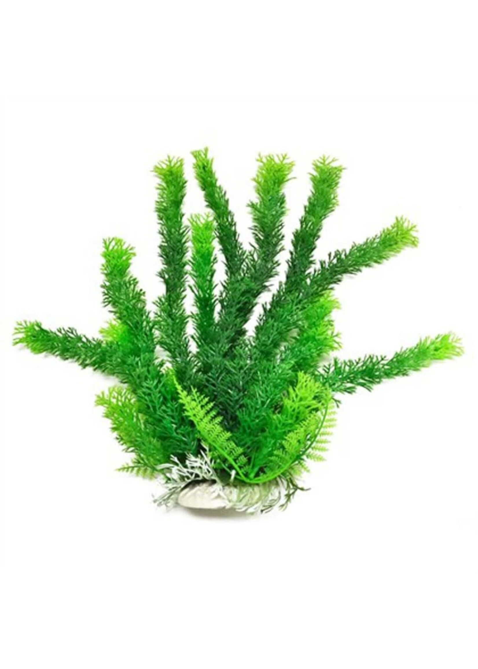 Aquatop PLANT CABOMBA GREEN 20 IN