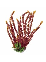 Aquatop PLANT CABOMBA FIRE 20 IN