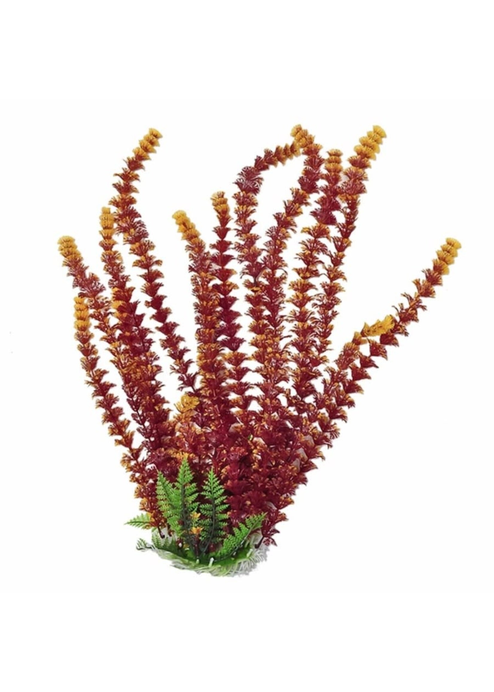 Aquatop PLANT CABOMBA FIRE 20 IN