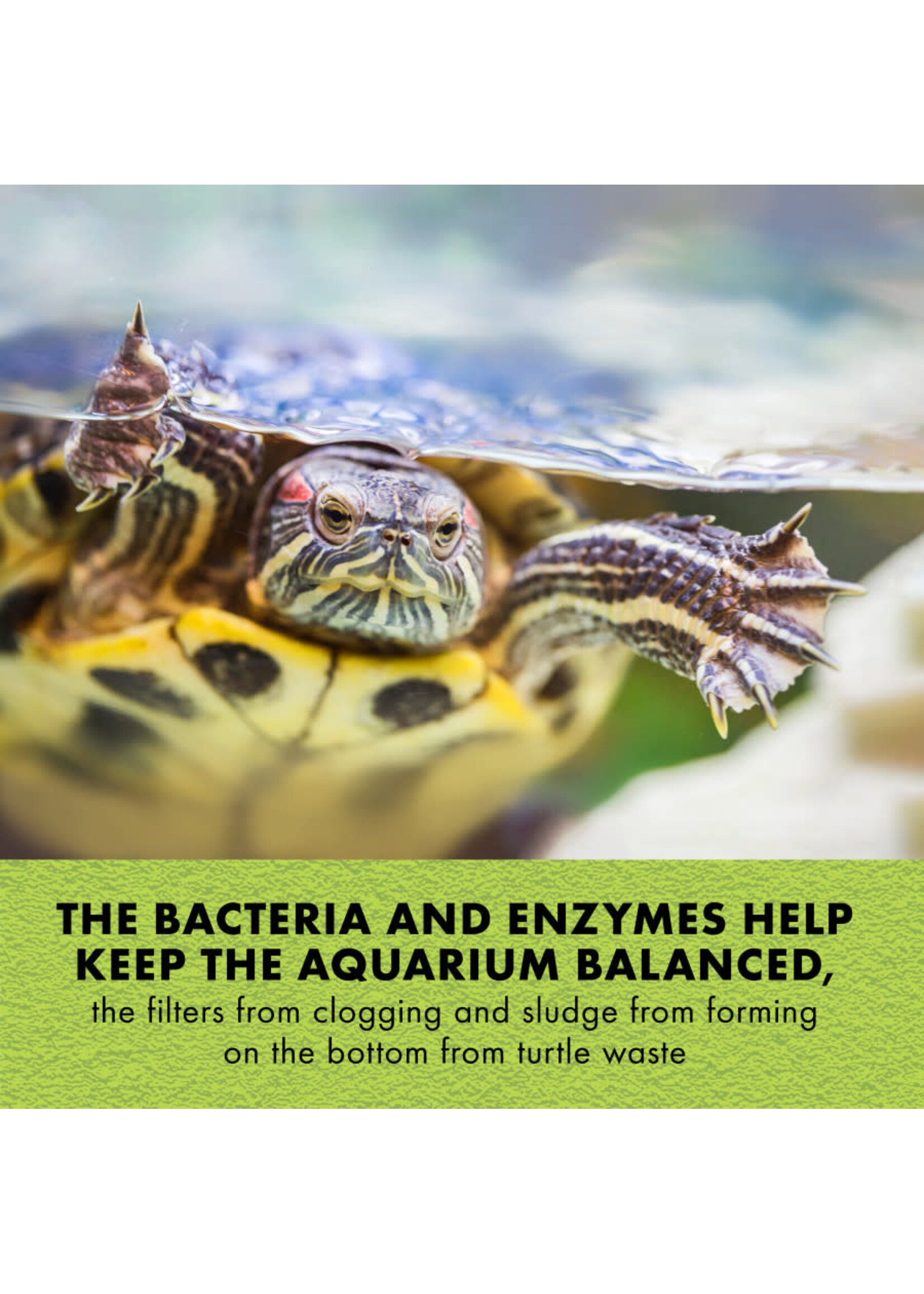 Zilla TURTLE PURE WATER CARE 4 PK