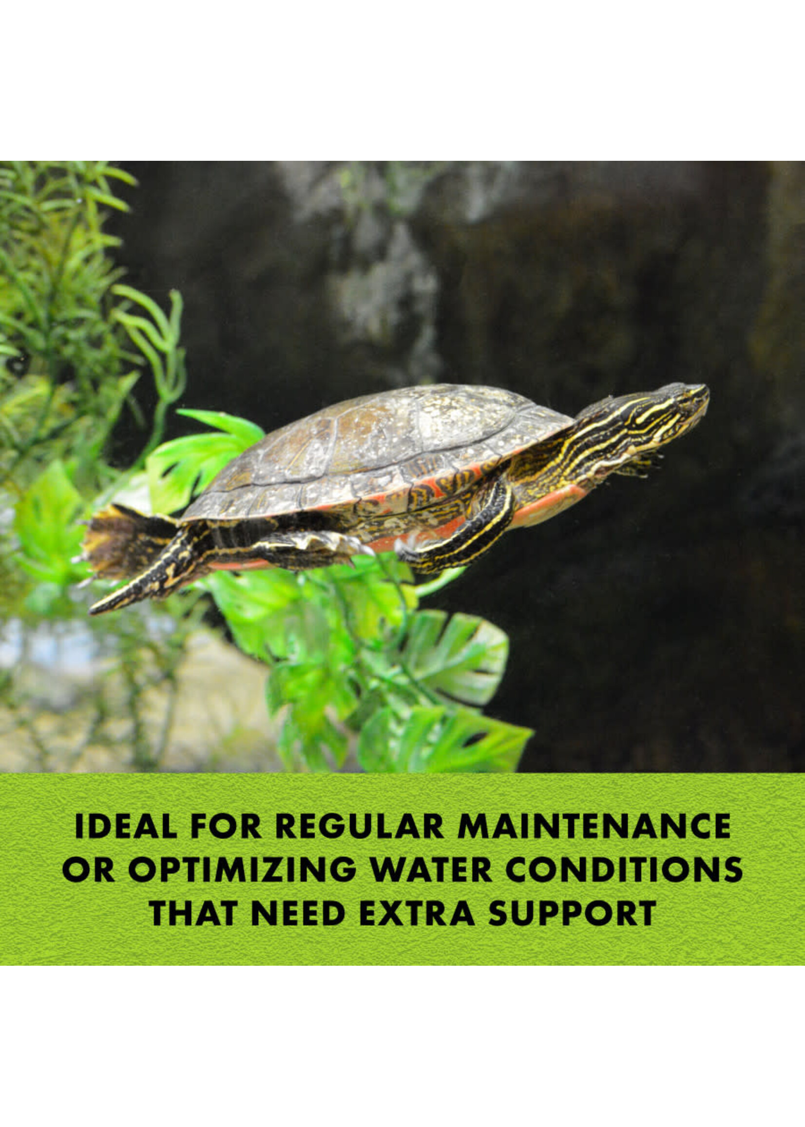 Zilla TURTLE MIRACLE BALL 1 PK