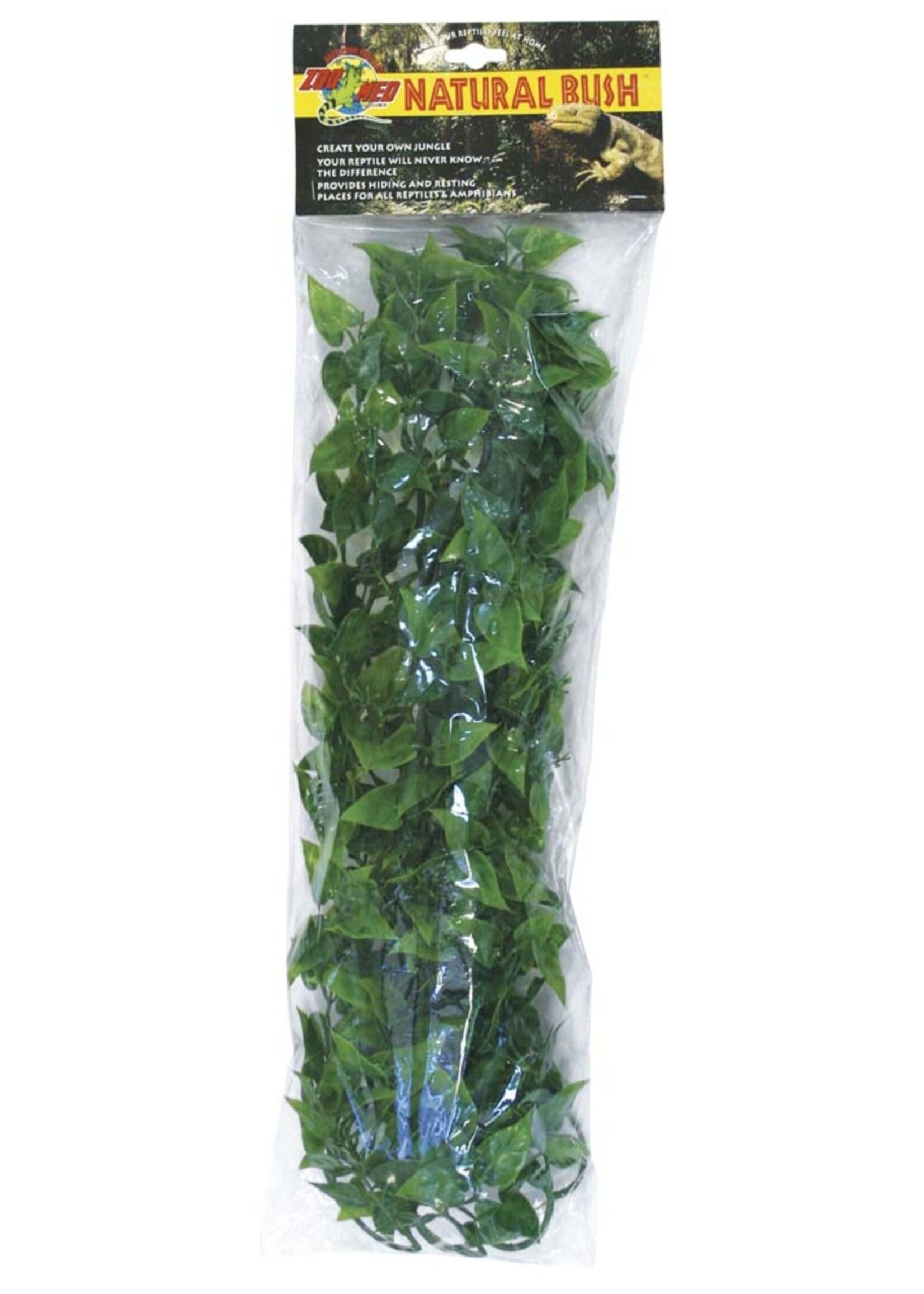 Zoo Med NATURAL BUSH MEX PHYLLO PLANT L