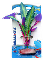 Blue Ribbon PLANT FERNDALE BLUE MINI