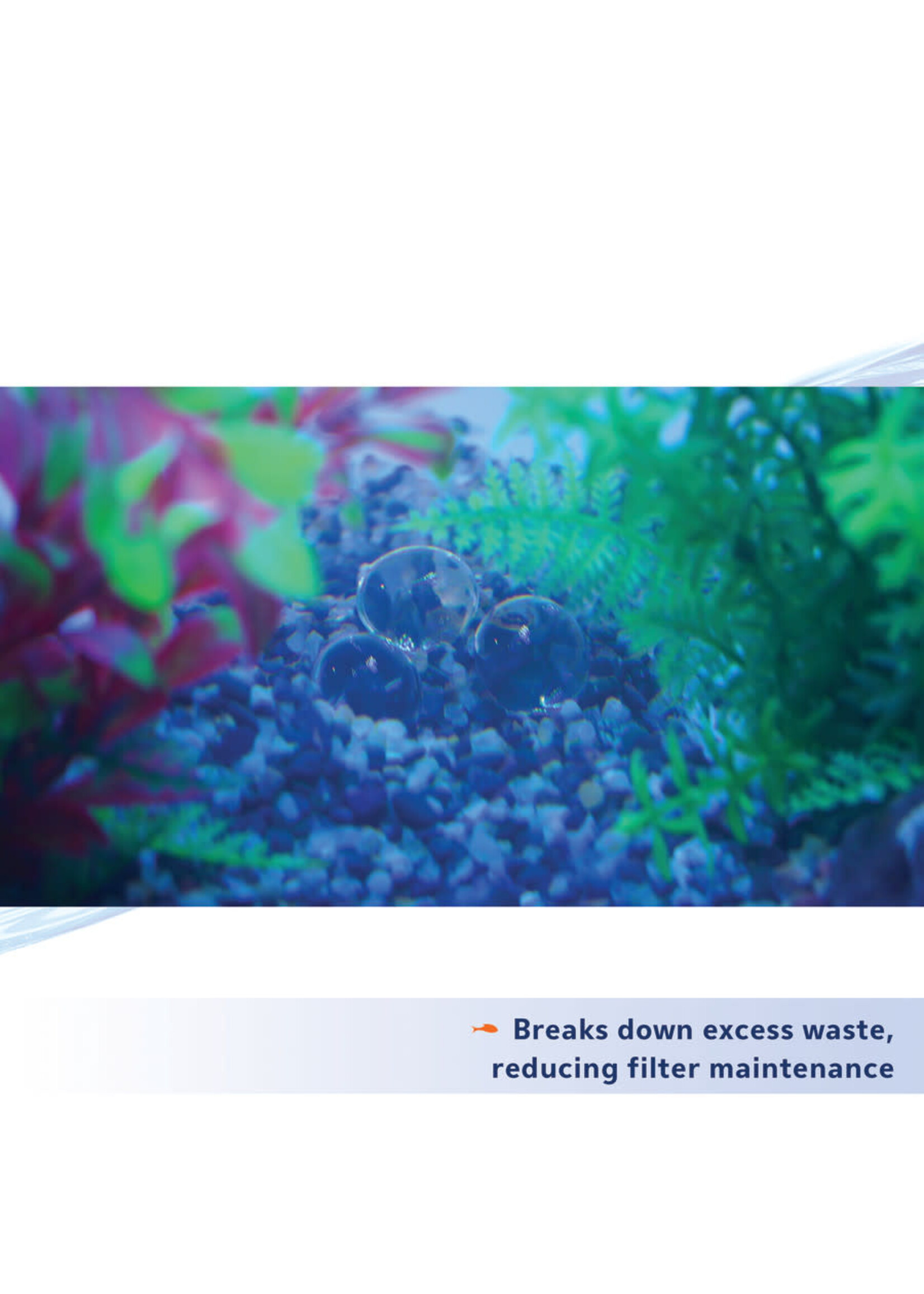 Aqueon PURE BACTERIA 4 PK