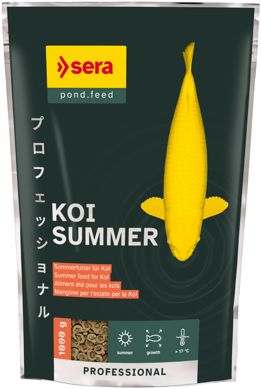 POND PROFESSIONAL SUMMER 2.2 LB