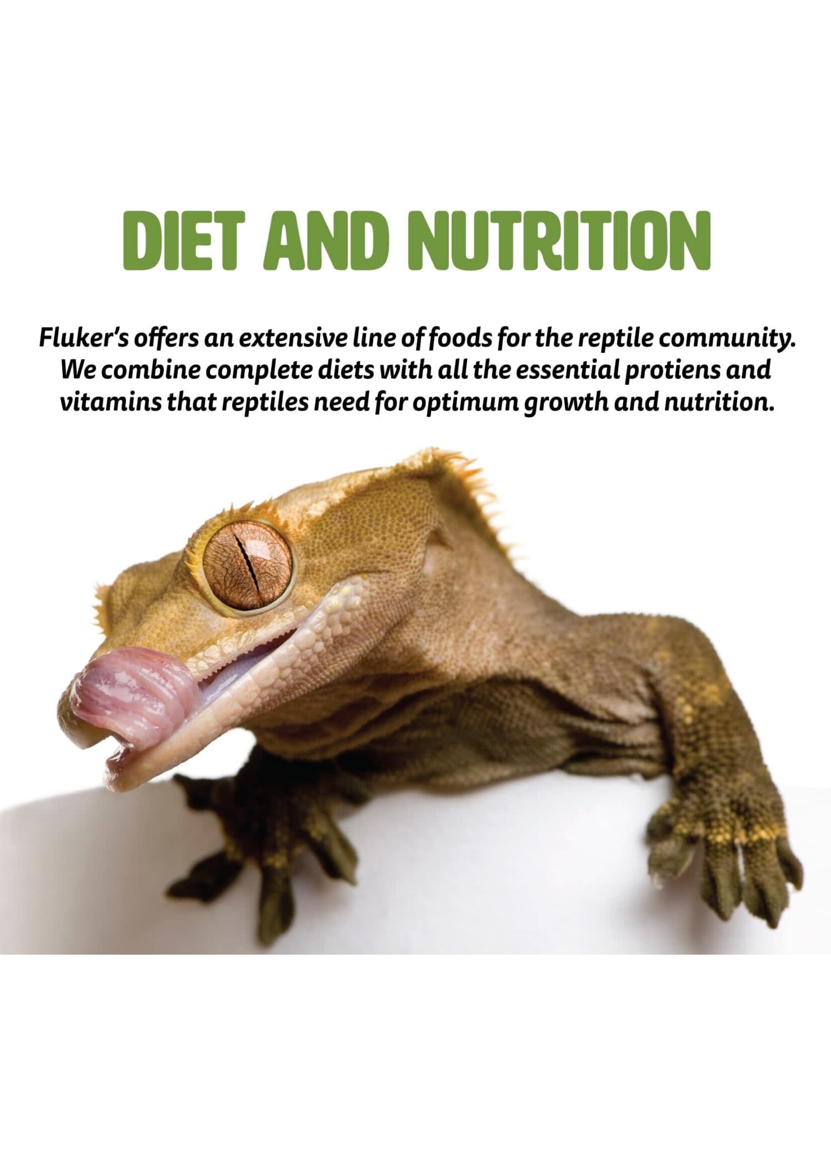 Fluker Farm BEARDED DRAGON MEDLEY 3.2 OZ