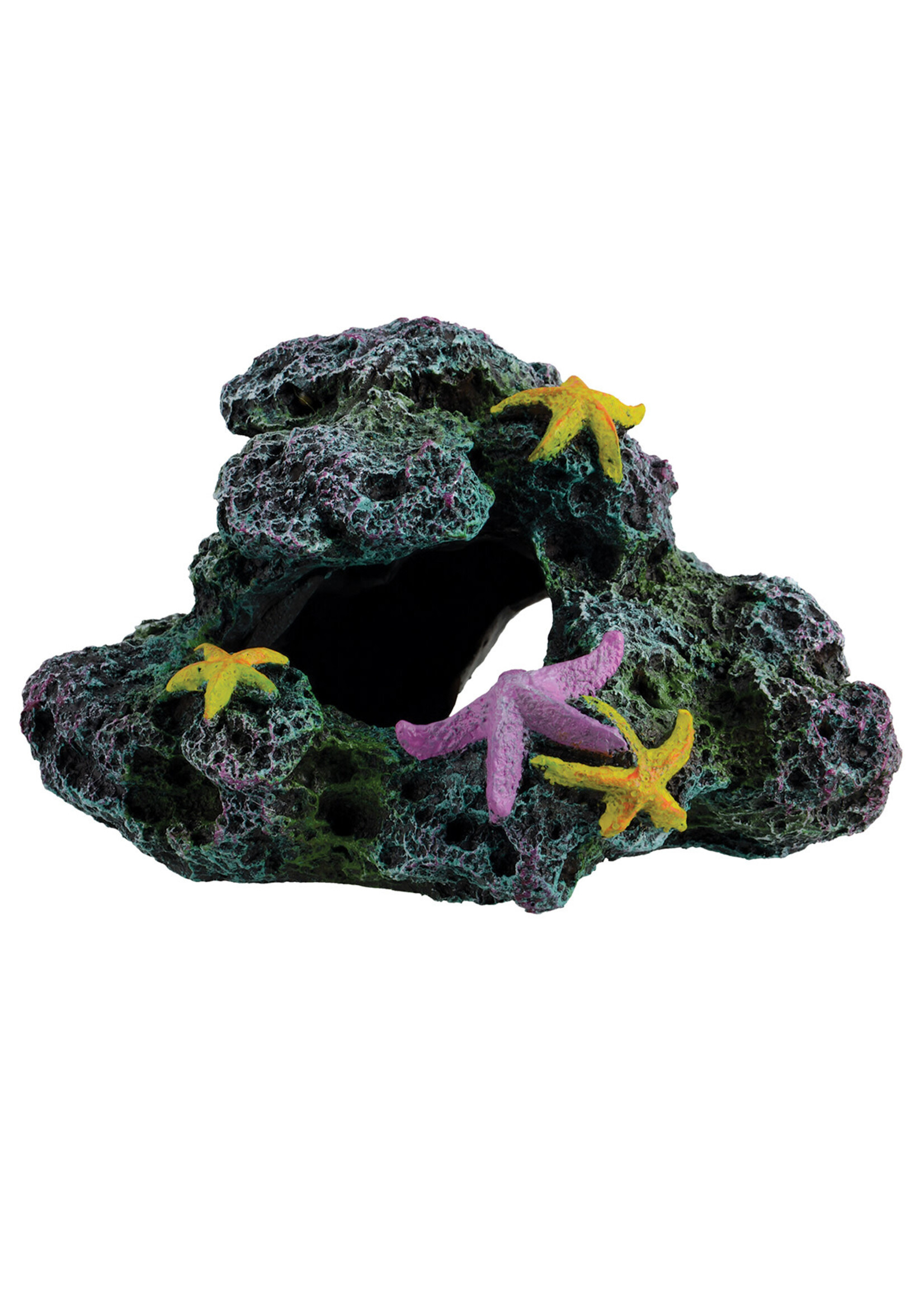 Underwater Treasures REEF STARFISH CAVE