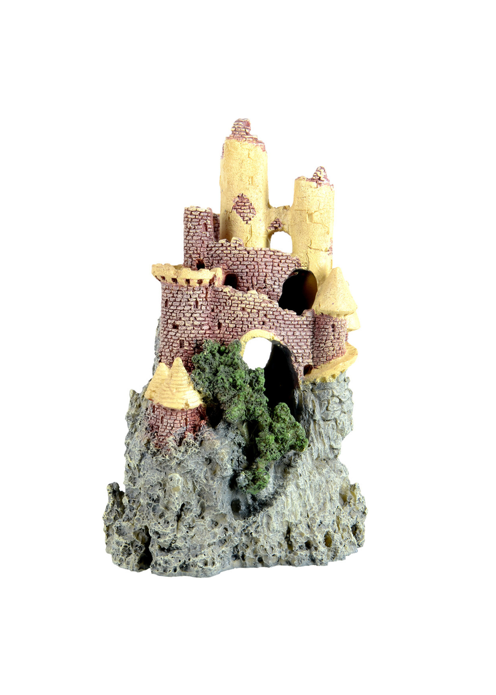 Underwater Treasures CASTLE ON MOUNTAIN