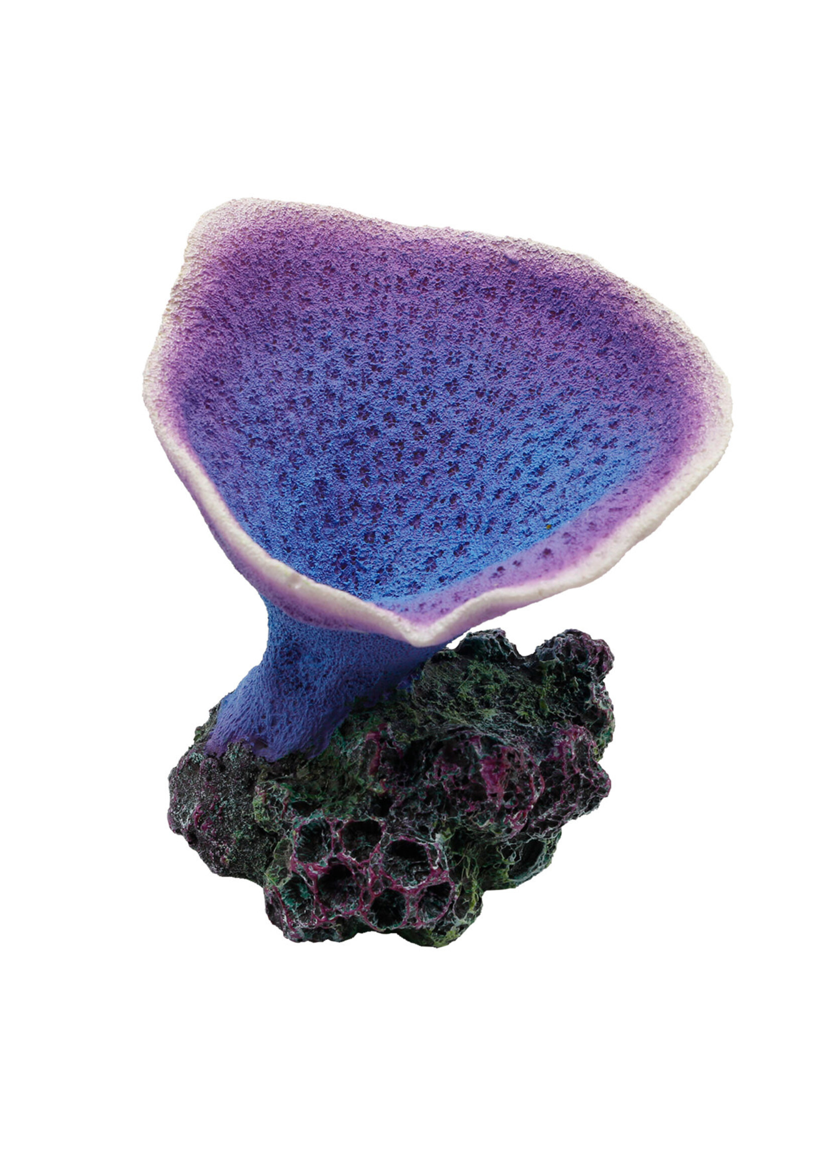Underwater Treasures ELEPHANT EAR CORAL PURPLE