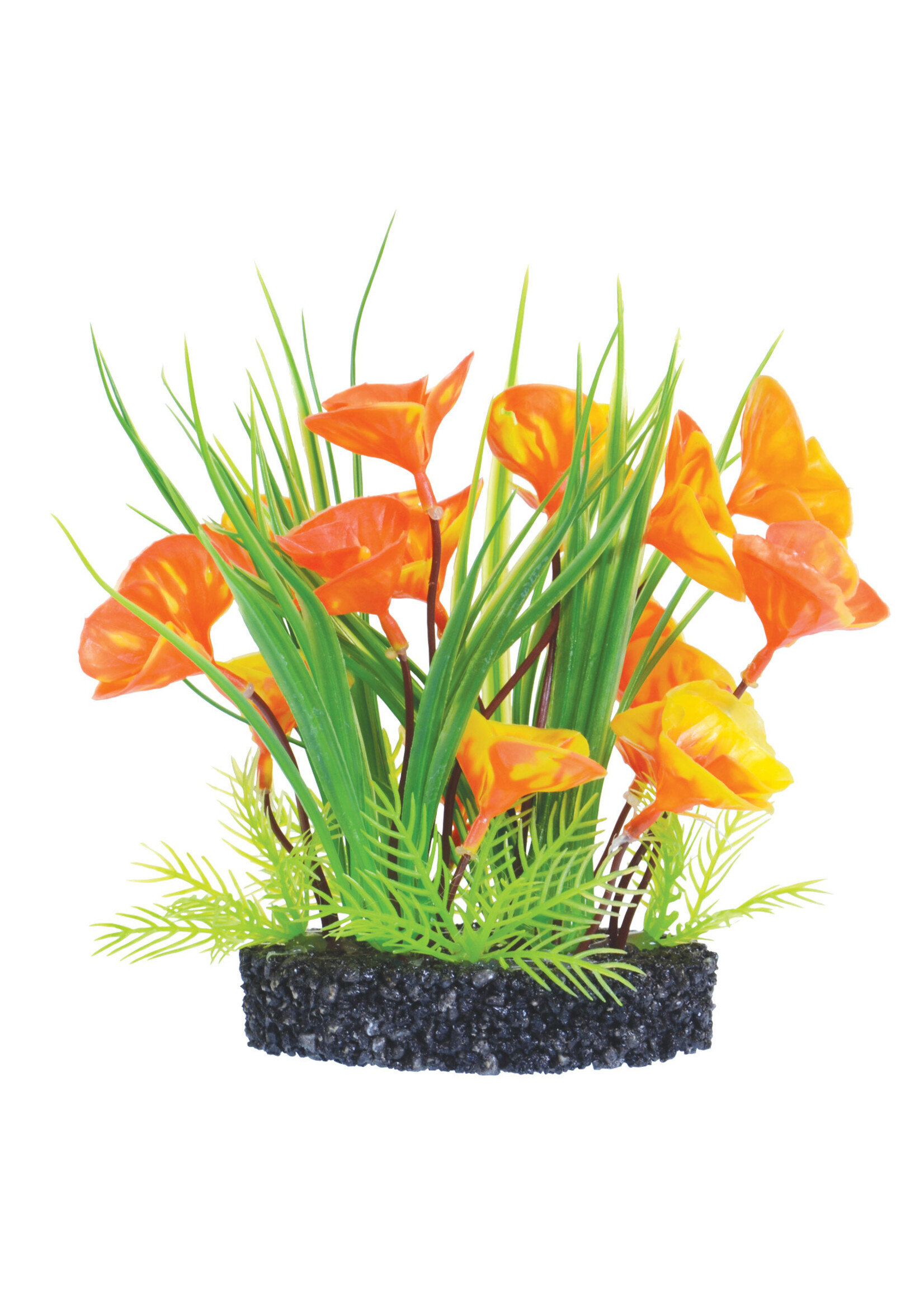 Underwater Treasures LUNA LILY BUSH ORANGE