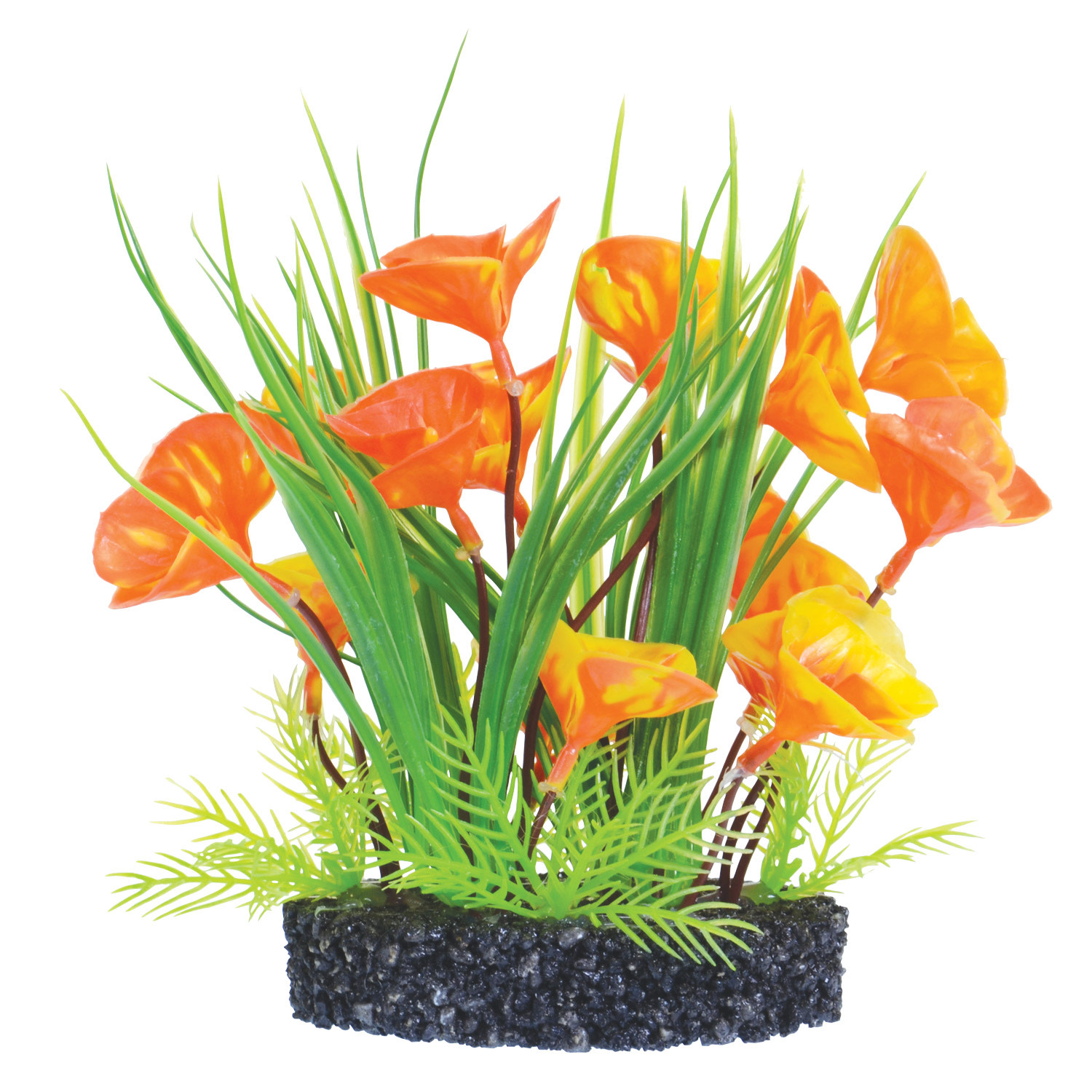 LUNA LILY BUSH ORANGE
