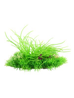 Underwater Treasures GRASS MATT