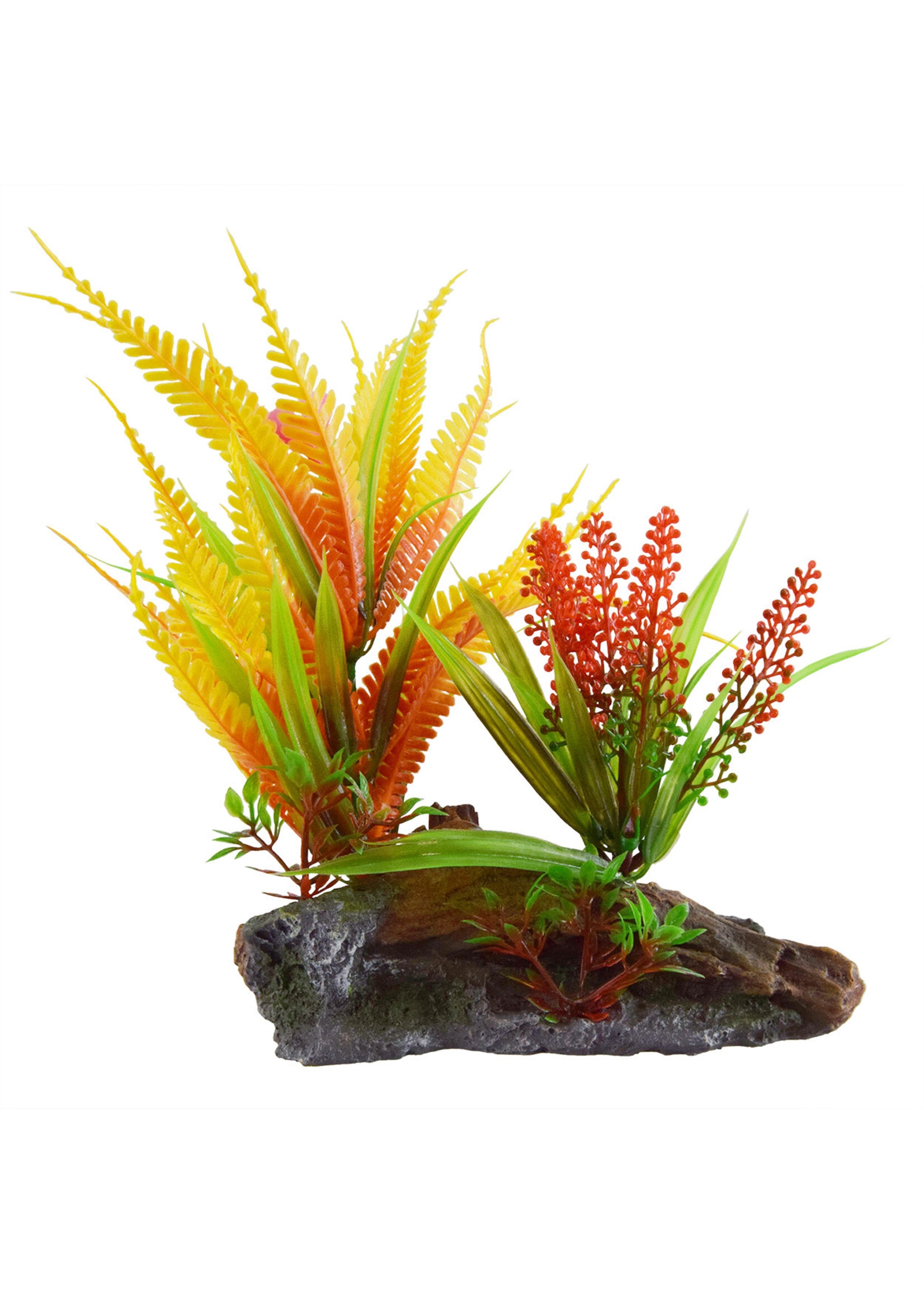 Underwater Treasures ORANGE FERN ON WOOD