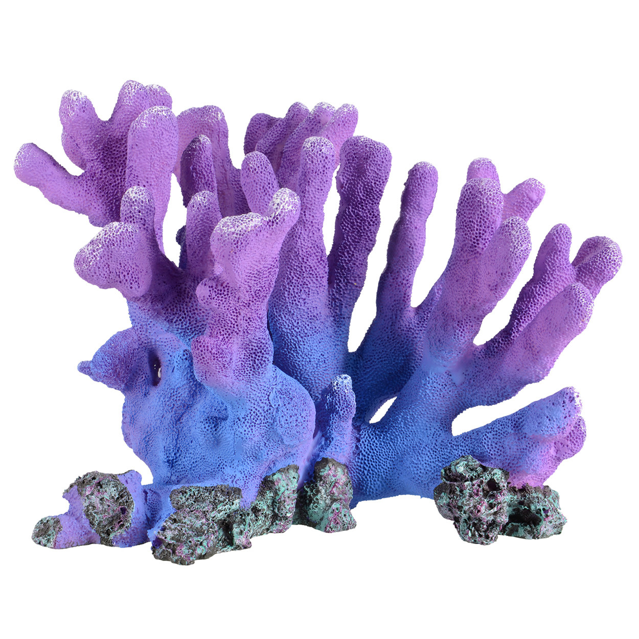 PURPLE BRANCH CORAL