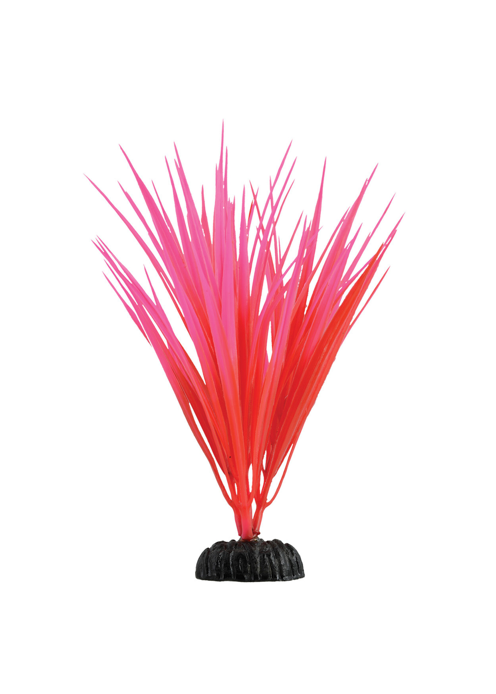 Underwater Treasures ROSE NILE GRASS 7.5 "