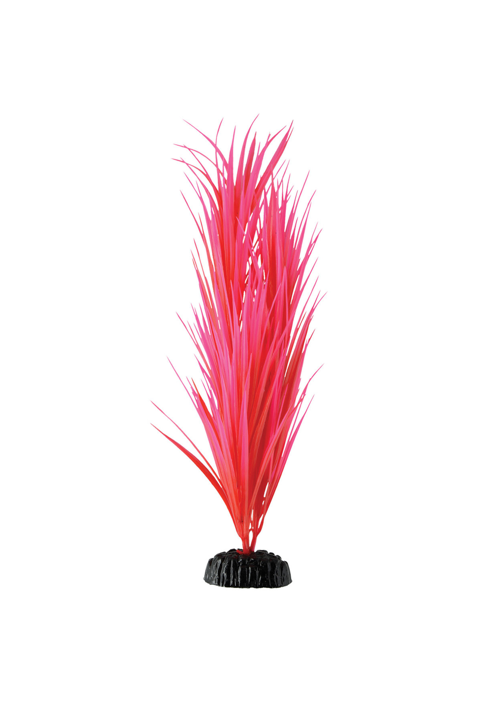 Underwater Treasures ROSE NILE GRASS 14.25 "
