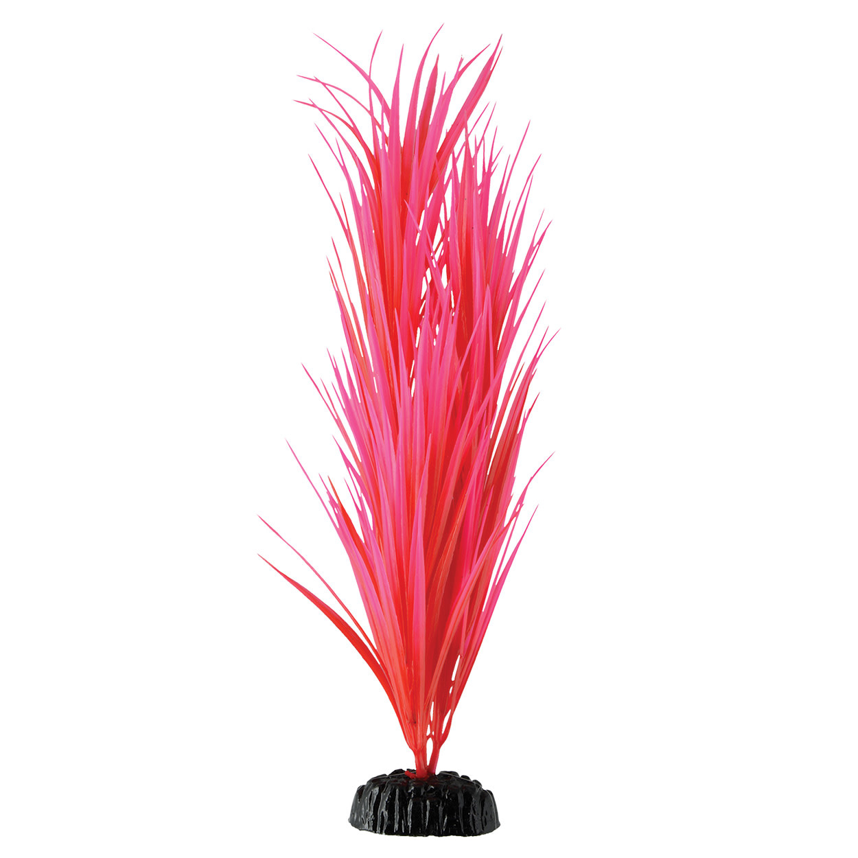 UT ROSE NILE GRASS 14.25 " The Hidden Reef, Inc