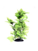 Underwater Treasures BROADLEAF 16"