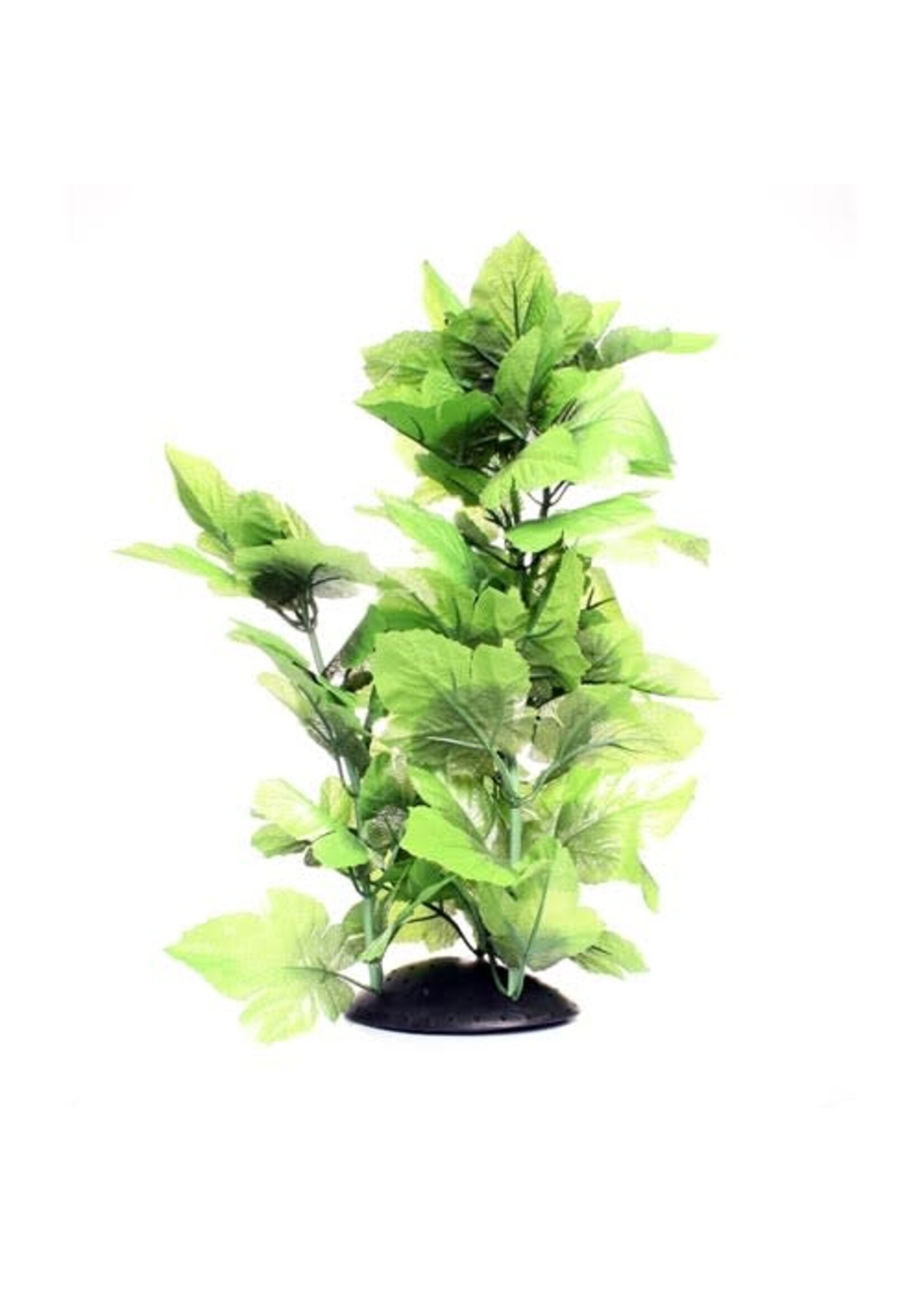 Underwater Treasures BROADLEAF 16"