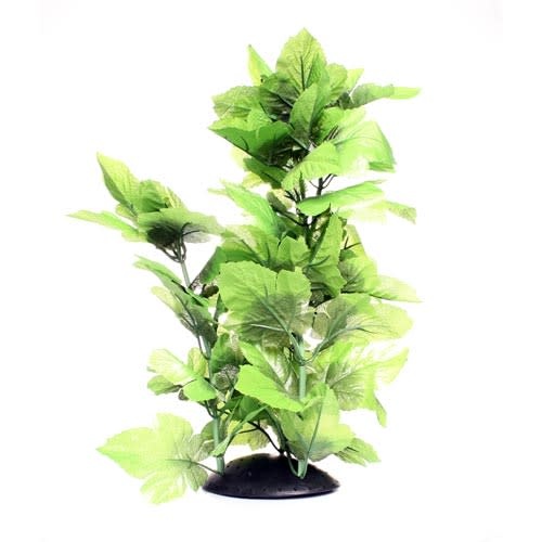 BROADLEAF 16"