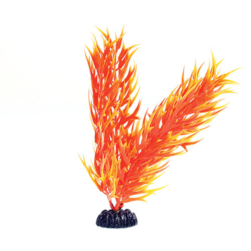 BAMBOO ORANGE YELLOW 8 "