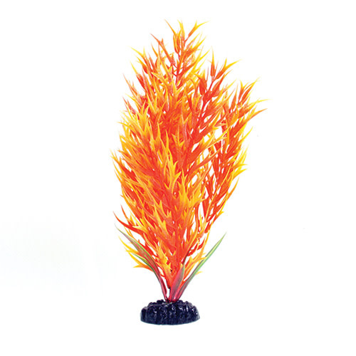 BAMBOO ORANGE YELLOW 12 "