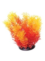 Underwater Treasures CABOMBA ORANGE 6"