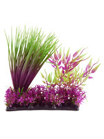 Underwater Treasures HAIRGRASS GARDEN MIX