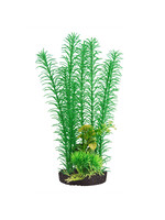 Underwater Treasures MAYACA GREEN